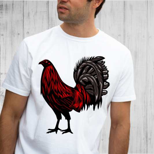 Gallo #2