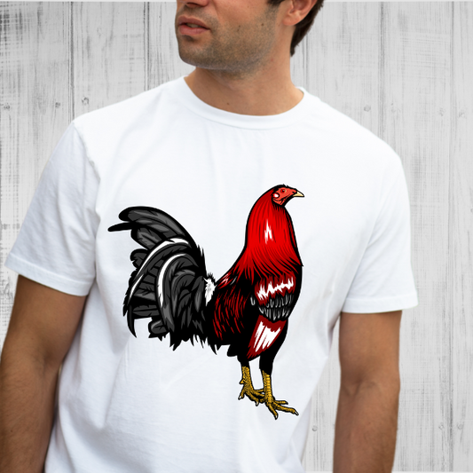 Gallo #3