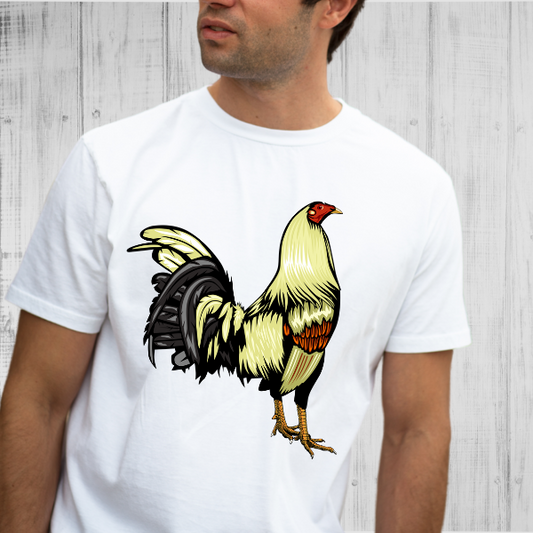 Gallo #5