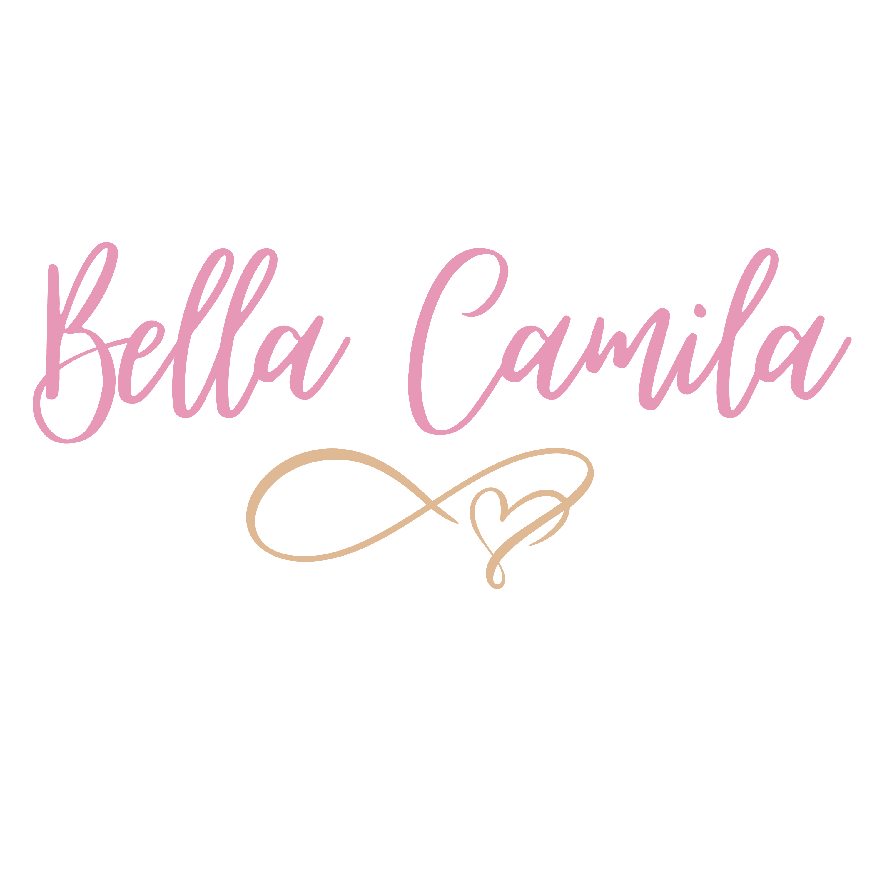 Bella Camila Accessories & More 