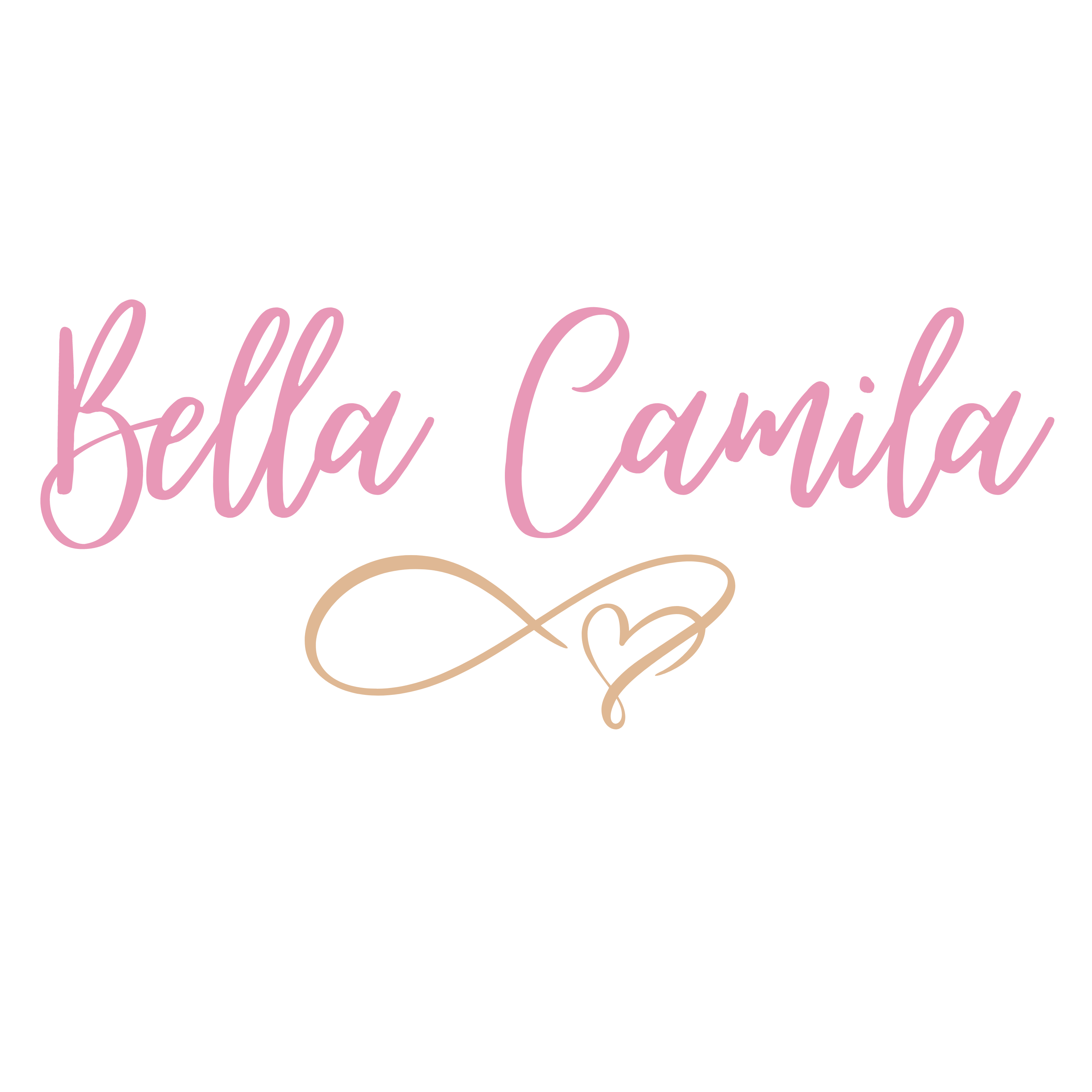 Bella Camila Accessories & More