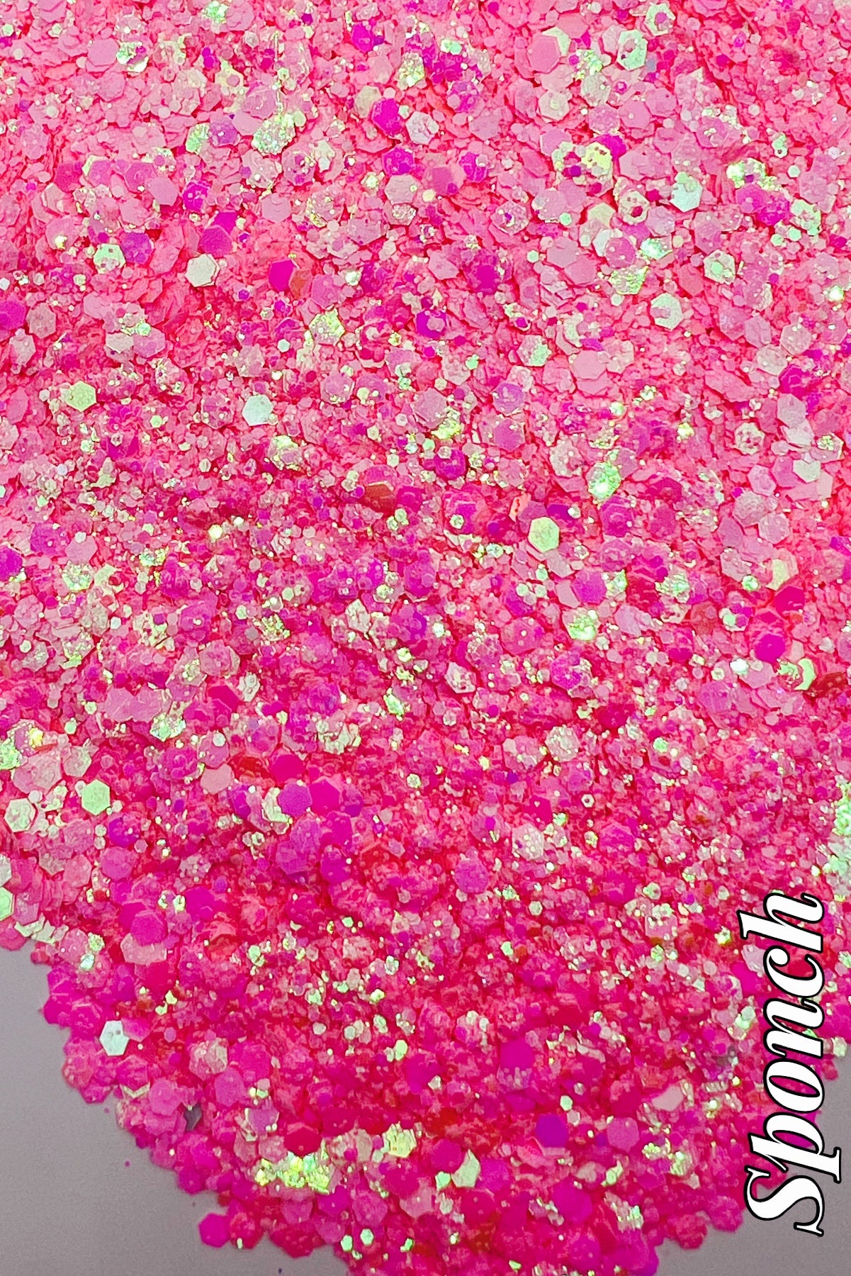 Sponch