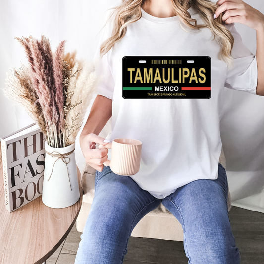 Tamaulipas License Plate