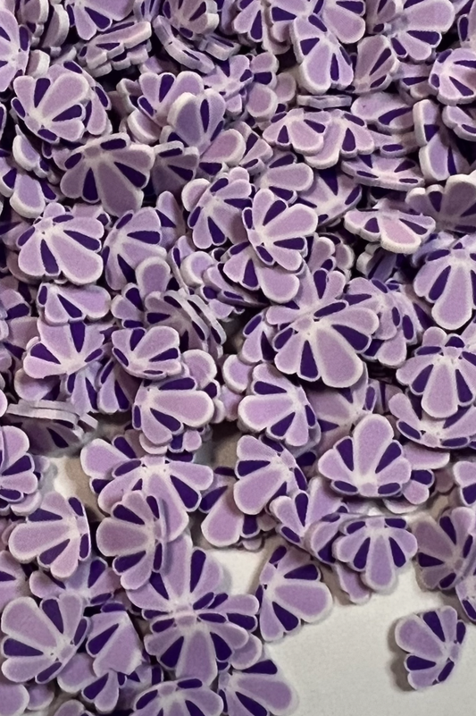 Purple Seashells